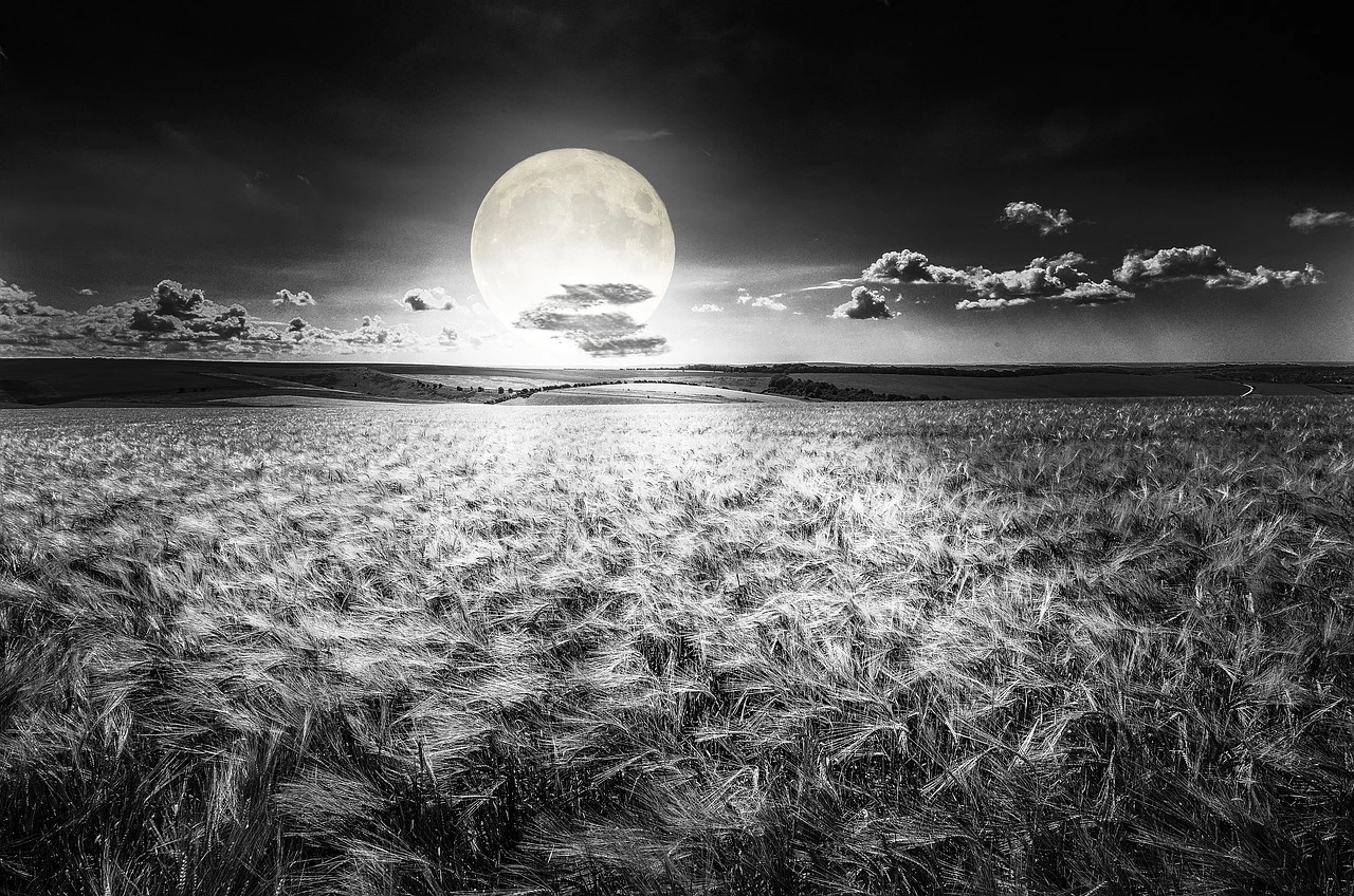 Super Moon Photo Gallery