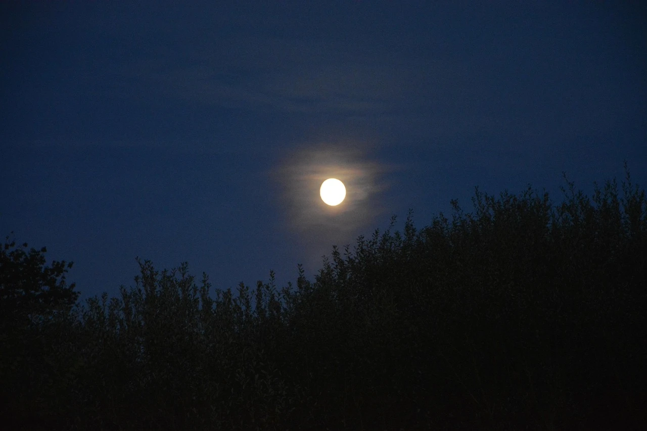 Super Moon Photo Gallery