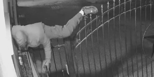 A robbery suspect is captured jumping a fence in Houston on February 14 after robbing someone at gunpoint moments earlier. The victim reportedly fired at a vehicle and fatally shot Arlene Alvarez.
